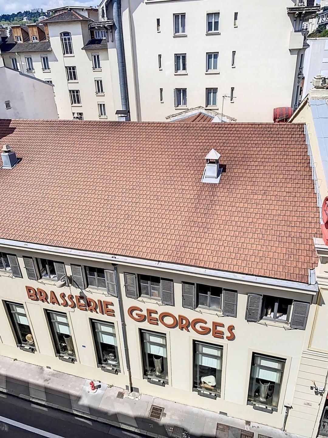 Spacieux T3 80m2 Plein Centre Presque Ile ! Apartment Lyon
